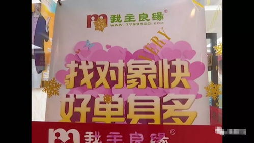 傻眼,南宁一女子花7万块找对象,没想到婚介机构却教她...