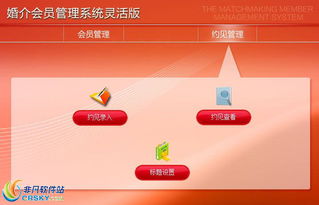 宏达婚介会员管理系统界面预览 宏达婚介会员管理系统界面图片