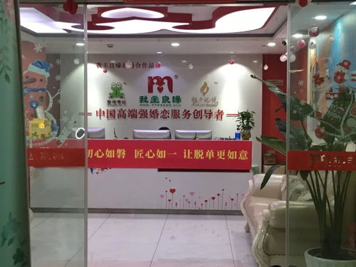 六万元婚介陷阱 高校女教授的情感危机