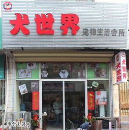 曲阜犬世界宠物生活会馆 一站式宠物生活服务中心